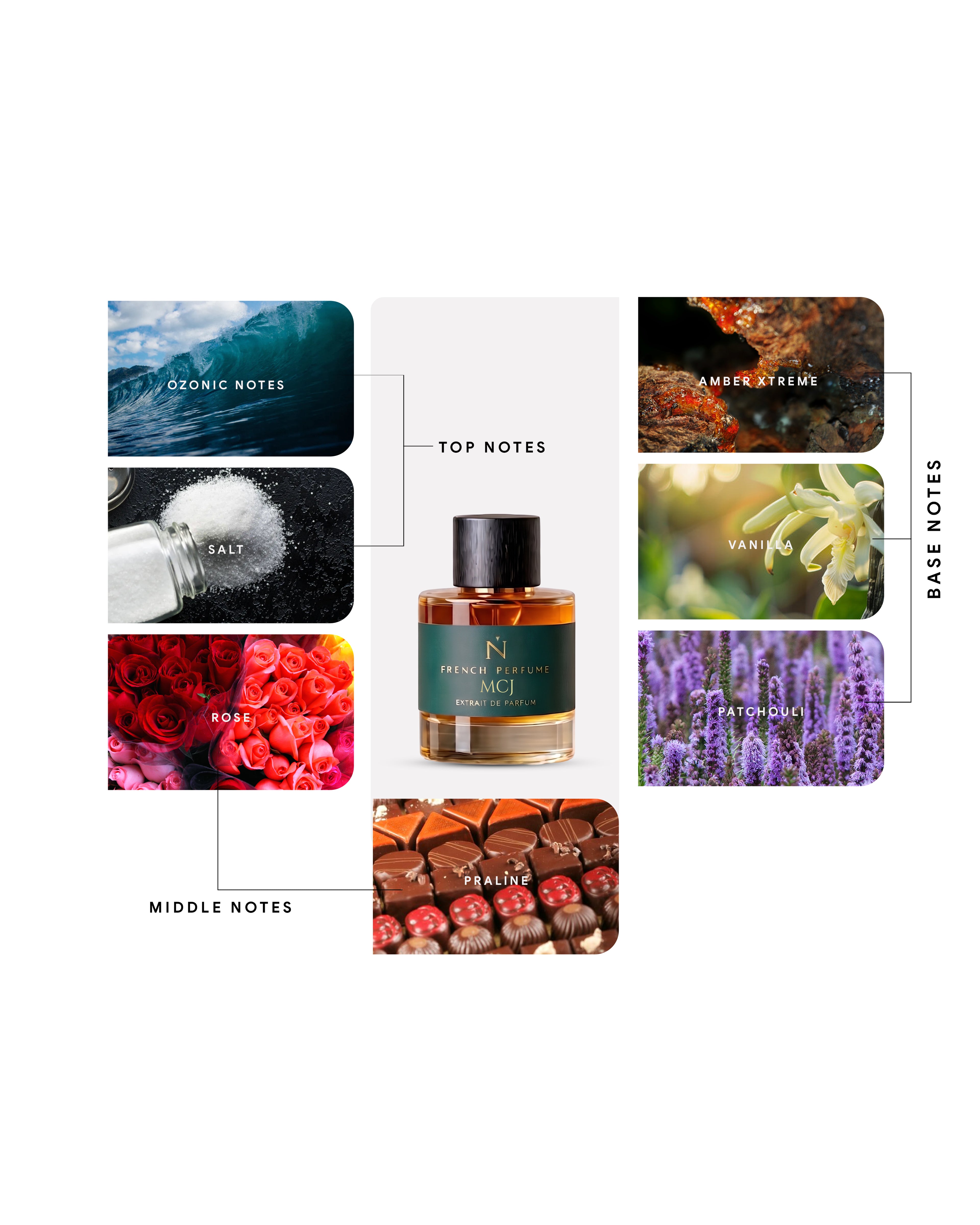 Majic Al jjazeera MCJ french perfume